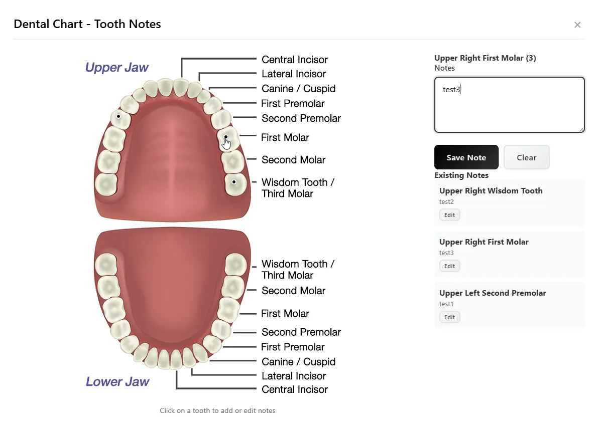 Interactive dental chart