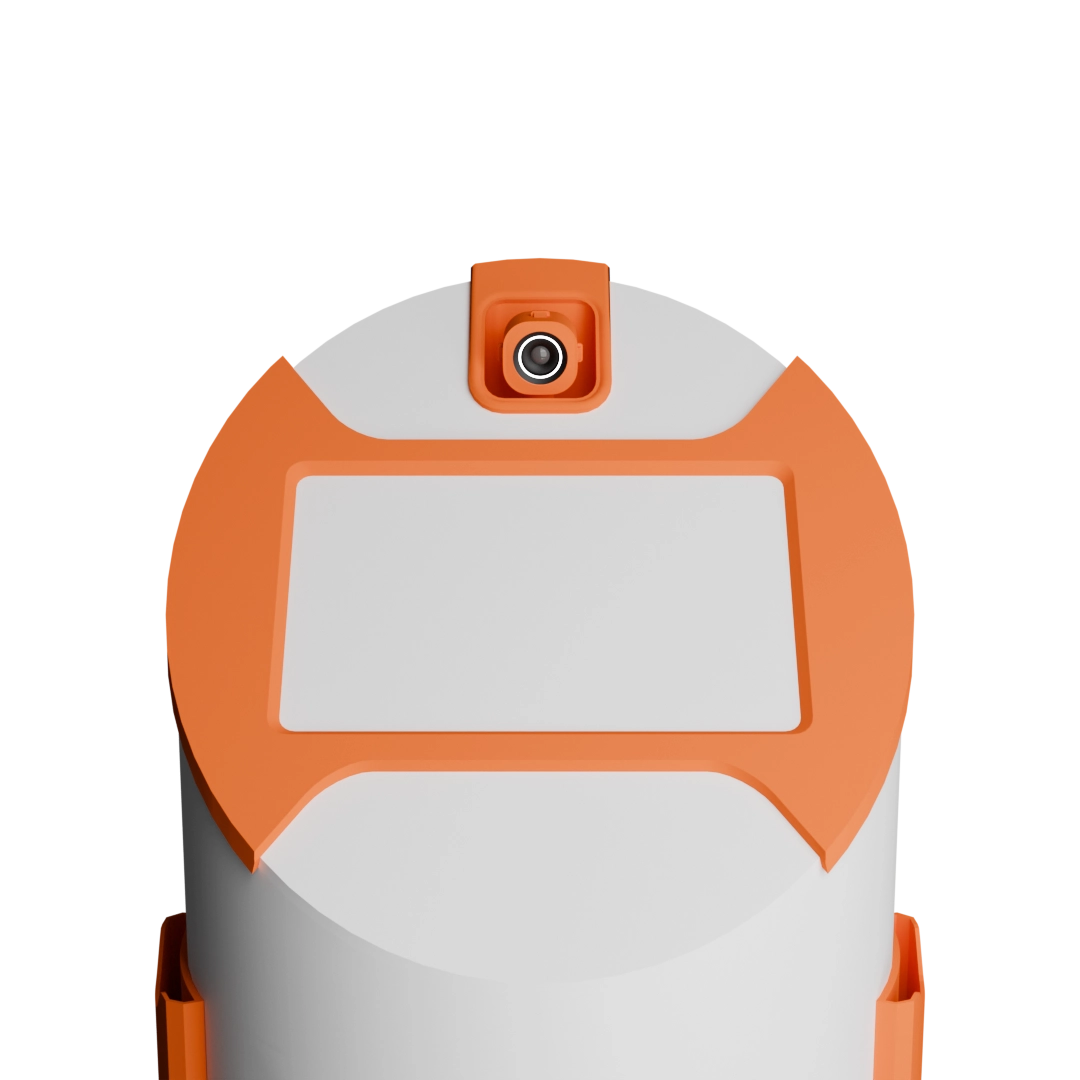Rover — head render
